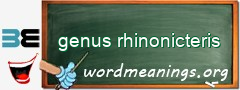 WordMeaning blackboard for genus rhinonicteris